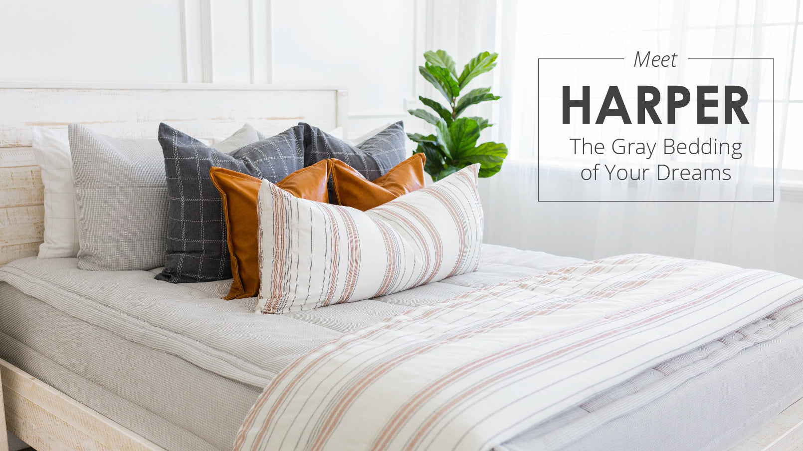 
      An infographic advertising the Harper style Beddys
    