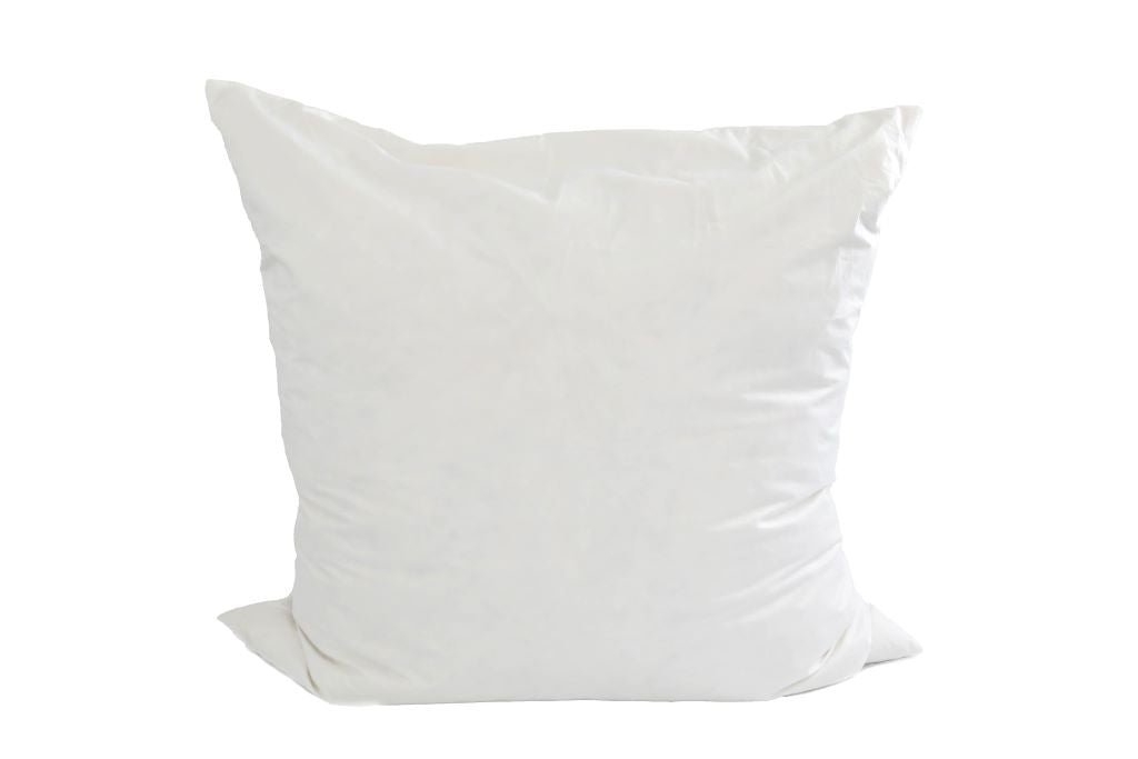 A white XL euro feather pillow insert.